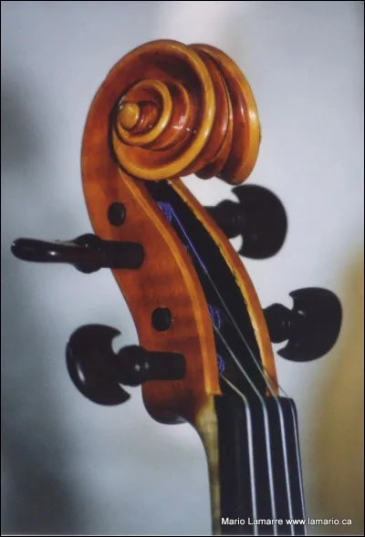 Comment s'appelle la partie de l'instrument à cordes qui se trouve en haut du manche ?