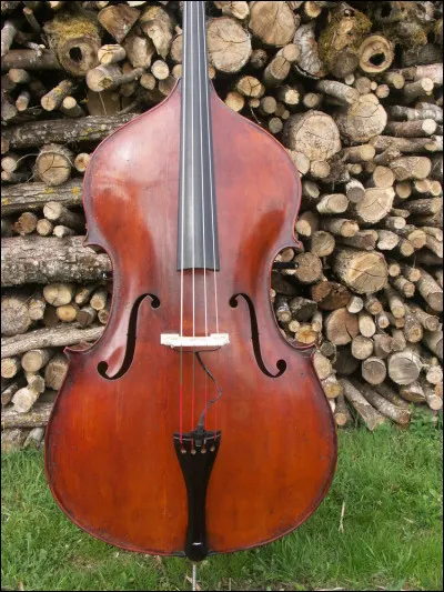 La contrebasse est plus grande que le violoncelle.