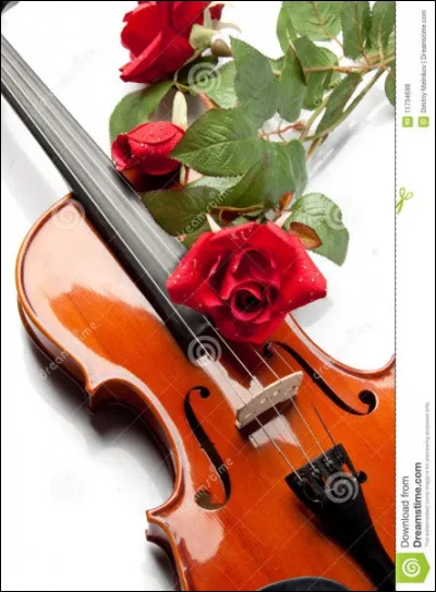 Comment s'appellent les trous des violons pour faire sortir le son ?