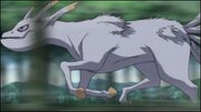 Quel est le vrai nom du démon à 5 queues ?