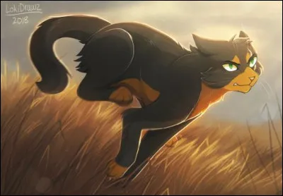 Quels chats se sont intégrés dans le clan de l'ombre ?