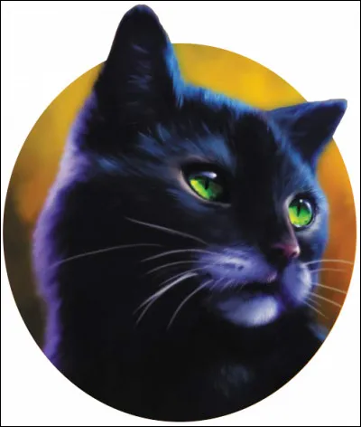 Qui est le chef du Clan de l'ombre dans le livre, au début ?