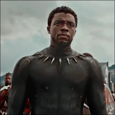 #6 T'challa/La Panthère noire
Qui est la soeur de T'challa ?