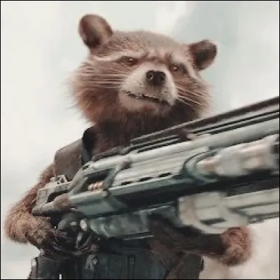 #13 Rocket 
De quelle équipe Rocket fait-il partie ?