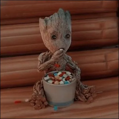 #8 Groot
De quelle sorte darbre est Groot ?