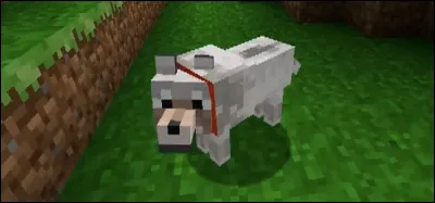 Que mangent les chiens dans "Minecraft" ?