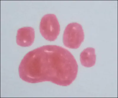 Quel est votre animal pr&eacute;f&eacute;r&eacute; ?