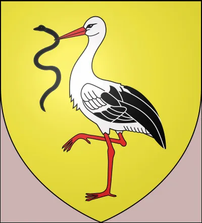 Ceci aurait pu &ecirc;tre le blason* du village de "Chouain" ("Chouing", en 1217), car ce nom n'est pas sans rapport avec la cigogne et a d&eacute;riv&eacute; aussi en ...