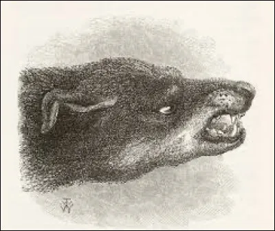 Que penses-tu des fantômes ?