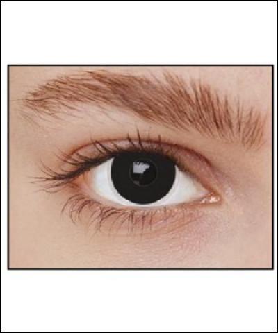 &Agrave; quel groupe doit-on le titre ''Tes yeux noirs'' ?