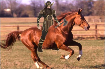 Le lendemain matin, tu apprends que la prochaine compétition sera contre lécole équestre des Vikings. Comment réagis-tu ?