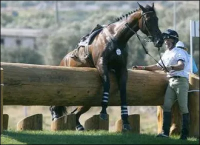 Quelle est ta technique dans les parcours de cross ?