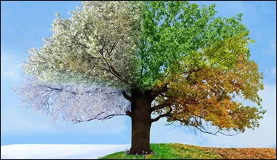 Quelle est ta saison préférée ?