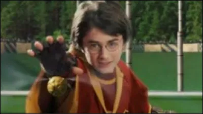 Quelle activité préfères-tu ?