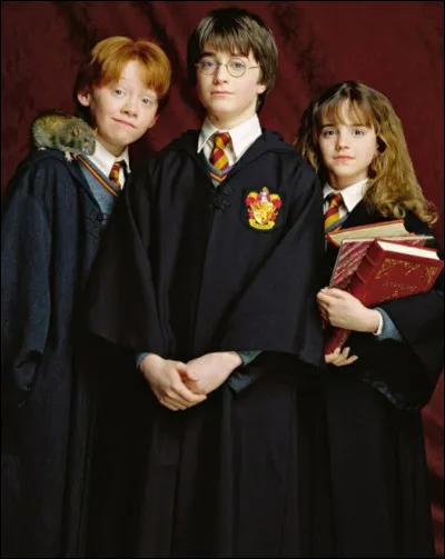 Qui serait ton ou ta meilleur(e) ami(e) ?