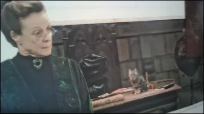 Quel est le programme en 1ère année ?