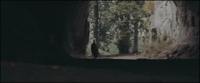 Complétez : 
"For my time far..."