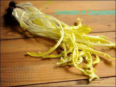 Chicorée sauvage amère, à déguster en salade !
