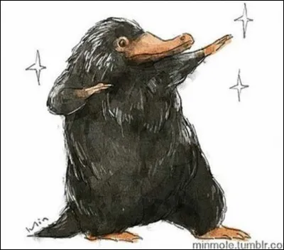 Quelle est la capacité des Niffleurs ?