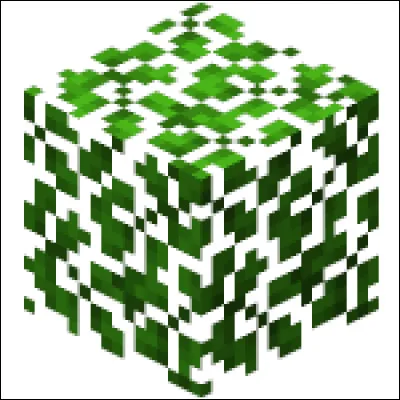 Combien de temps faut-il pour casser une feuille ?