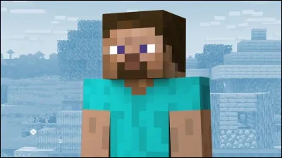 Quel est le surnom de Steve ?