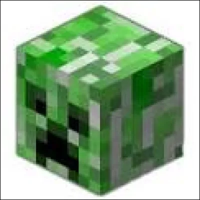 Comment avoir une tête de Creeper ?