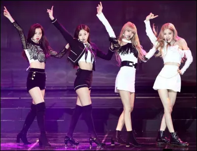 En quelle année a débuté le groupe ?