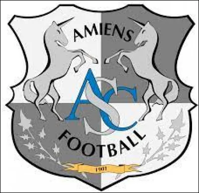 Quelles sont les couleurs historiques du club ?