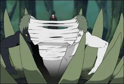 Qui Zetsu Noir a-t-il servi ?