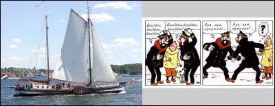 Aak > Qu'est-ce que c'est que cette bestiole ?