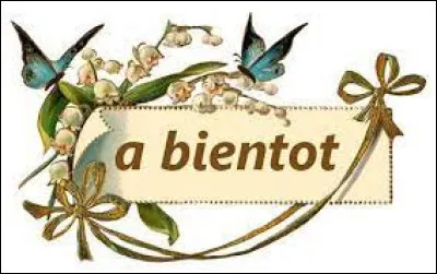 Si je veux vous dire à bientôt, que ne faut-il pas que je vous dise ?