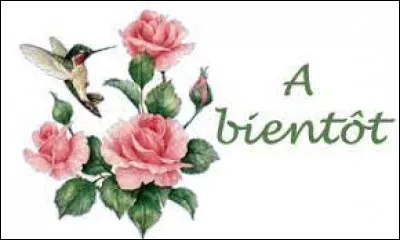 Comment dit-on "à bientôt" en anglais ?