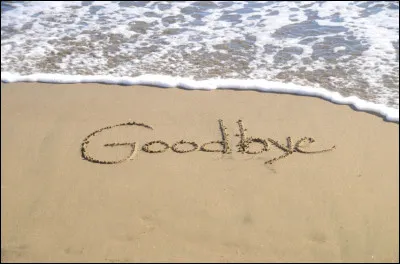 À qui Polnareff disait-il "Goodbye", dans sa chanson ?