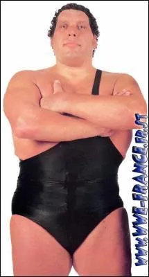 Qui a t le premier  entrer dans le hall of fame ?