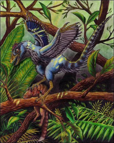 Quelle est la théorie supposée sur le Sinornithosaure ?