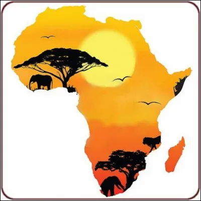 Quel est le mammifère le plus dangereux d'Afrique ?