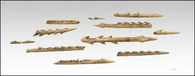 Quel est le nom de cet outil ?