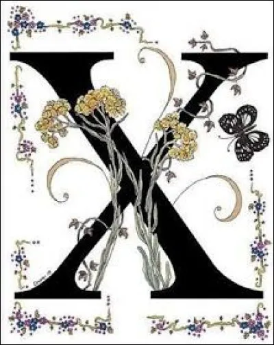 Quelle est votre taille française si vos vêtements sont XL ?