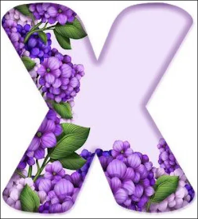 Xylographie : qu'est-ce ?