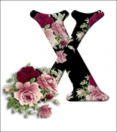 Xérès : c'est un vin...