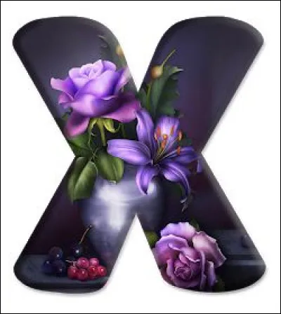 Xénophobe : qui est-il ?