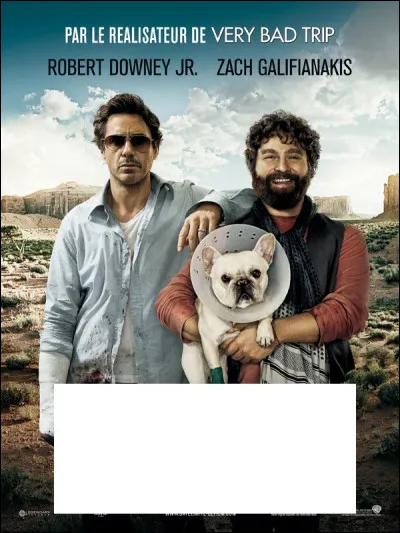À quel film appartient cette affiche ?
