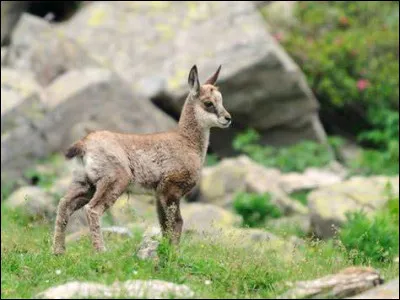 Qui sont ses parents ?