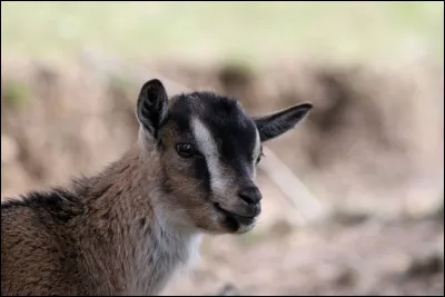 Qui sont ses parents ?