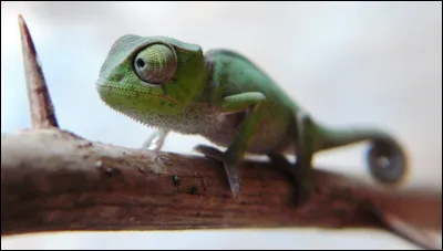 Qui sont ses parents ?