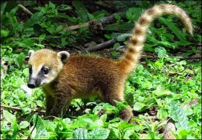 Qui sont ses parents ?