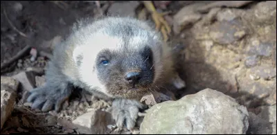 Qui sont ses parents ?