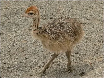 Qui sont ses parents ?