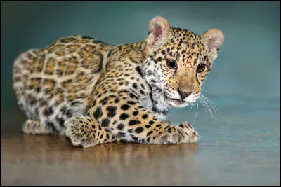 Qui sont ses parents ?