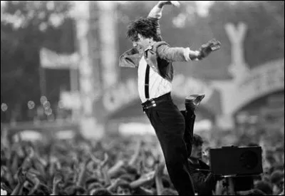 Il devient alors un des chanteurs rock les plus populaires de France, notamment grâce à...